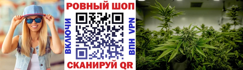 МЕФ Борисоглебск