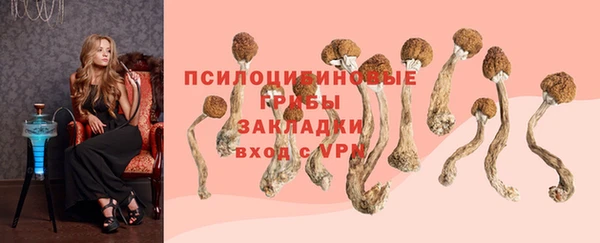 а пвп мука Пестово