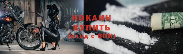 Альфа ПВП Пересвет