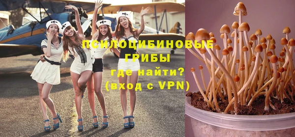 Альфа ПВП Пересвет