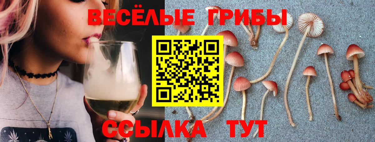 Галлюциногенные грибы Cubensis  Борисоглебск  Галлюциногенные грибы Psilocybine cubensis 