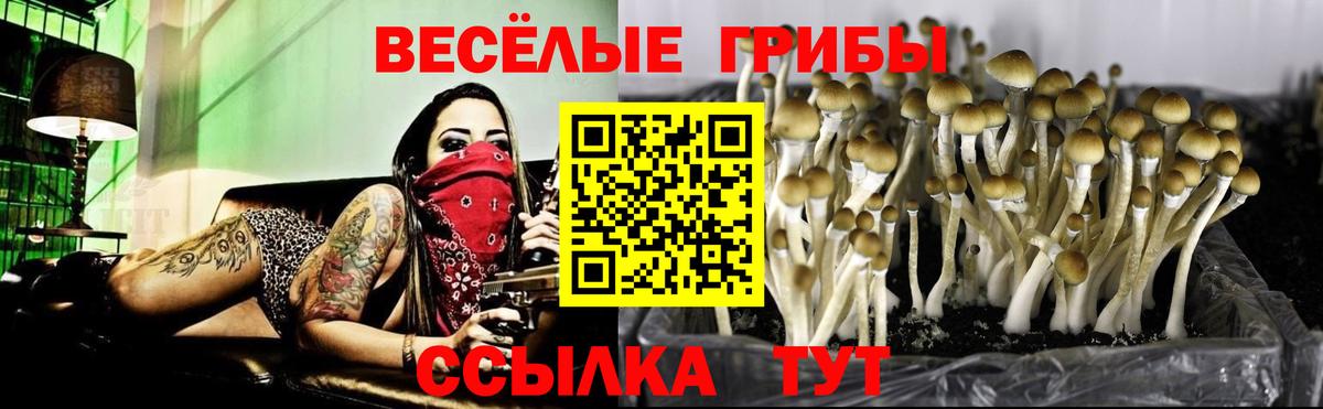 Псилоцибиновые грибы ЛСД Борисоглебск