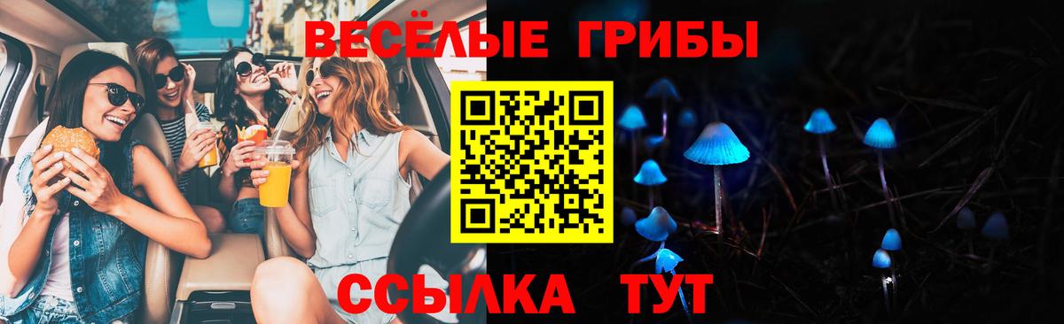 Галлюциногенные грибы Psilocybe  Галлюциногенные грибы ЛСД  Вход с VPN  купить закладку  Борисоглебск 